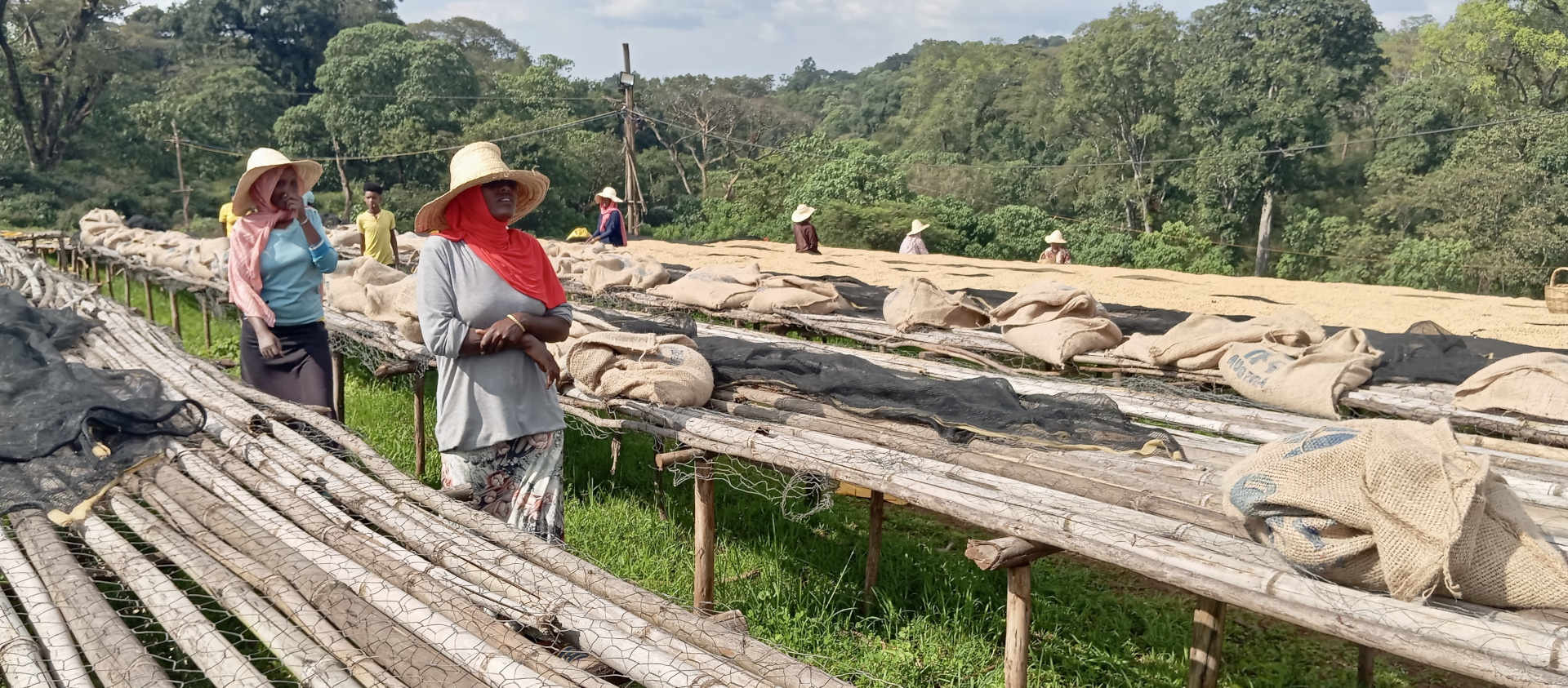 Kebena Trading